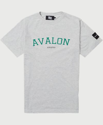 Avalon Athletics T-shirts NEAPLES Grå